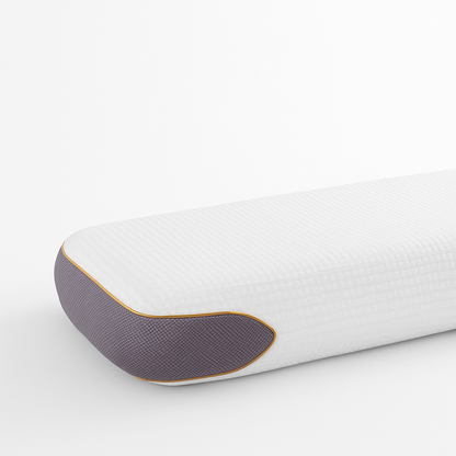Visco Therapy Gel Pillow
